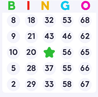 75 Ball Bingo Card