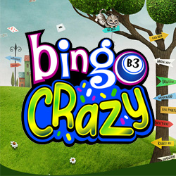 Bingo Crazy